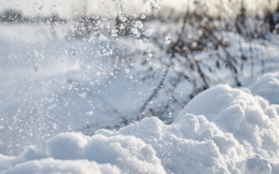 pexels eva elijas 6552213 1